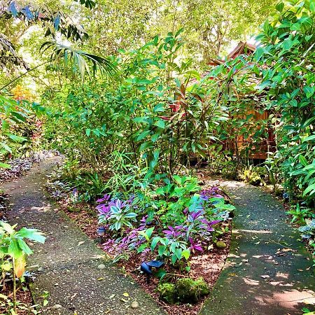 Coral Hill Bungalows كويتا المظهر الخارجي الصورة