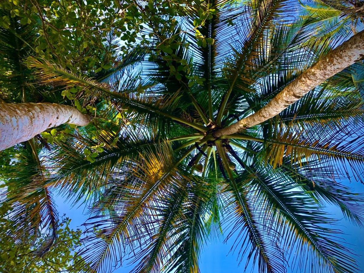 Coral Hill Bungalows كويتا المظهر الخارجي الصورة