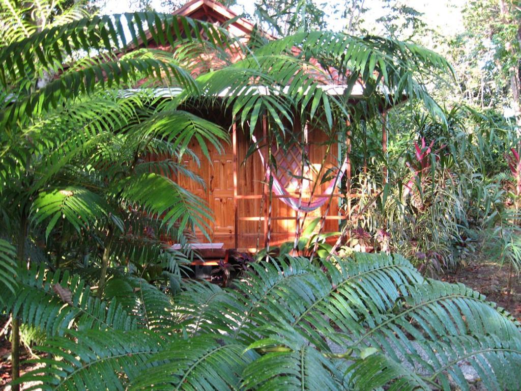 Coral Hill Bungalows كويتا المظهر الخارجي الصورة