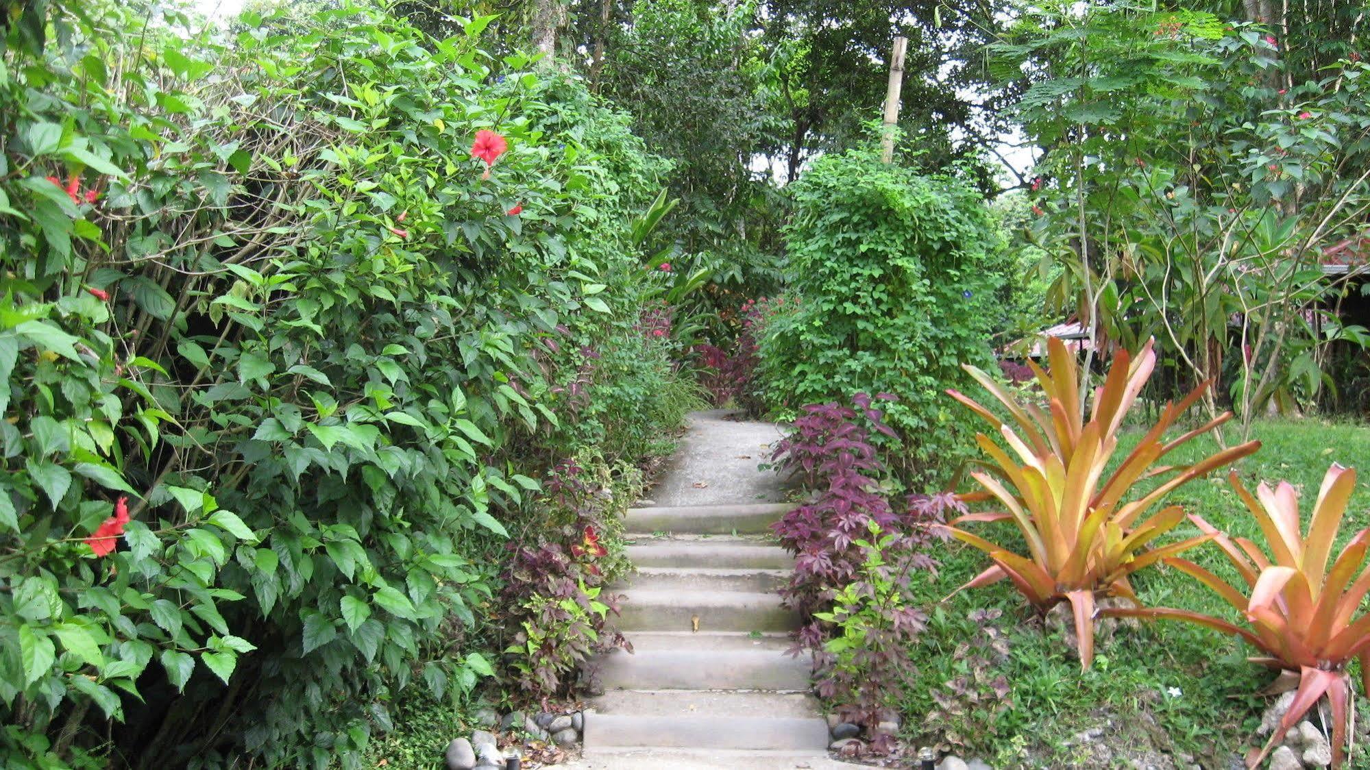 Coral Hill Bungalows كويتا المظهر الخارجي الصورة