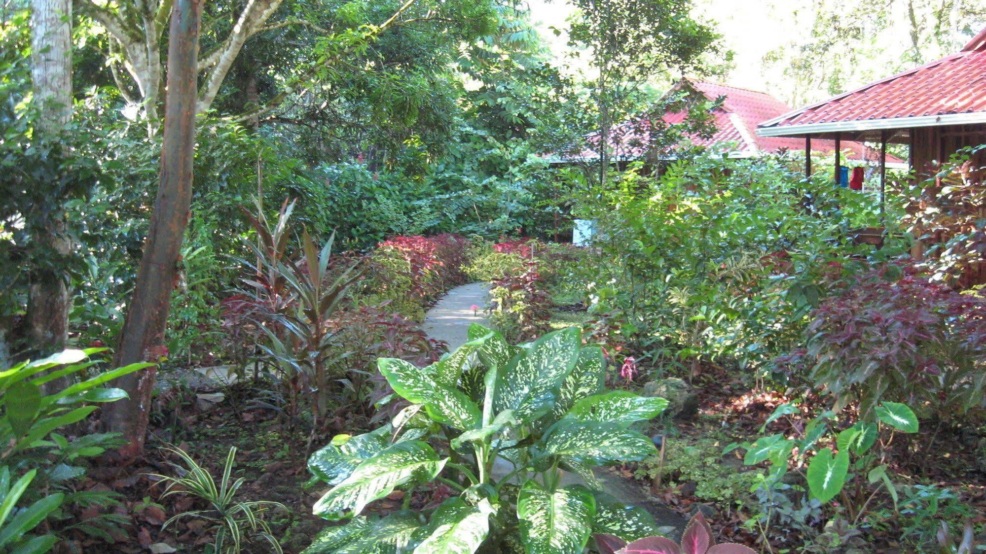 Coral Hill Bungalows كويتا المظهر الخارجي الصورة